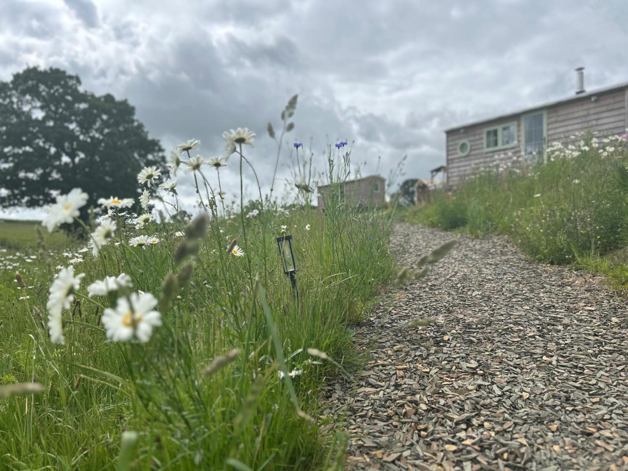 Cozyshepherdshutwithhottub * Umberleigh